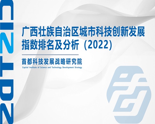 操bav【成果发布】广西壮族自治区城市科技创新发展指数排名及分析（2022）